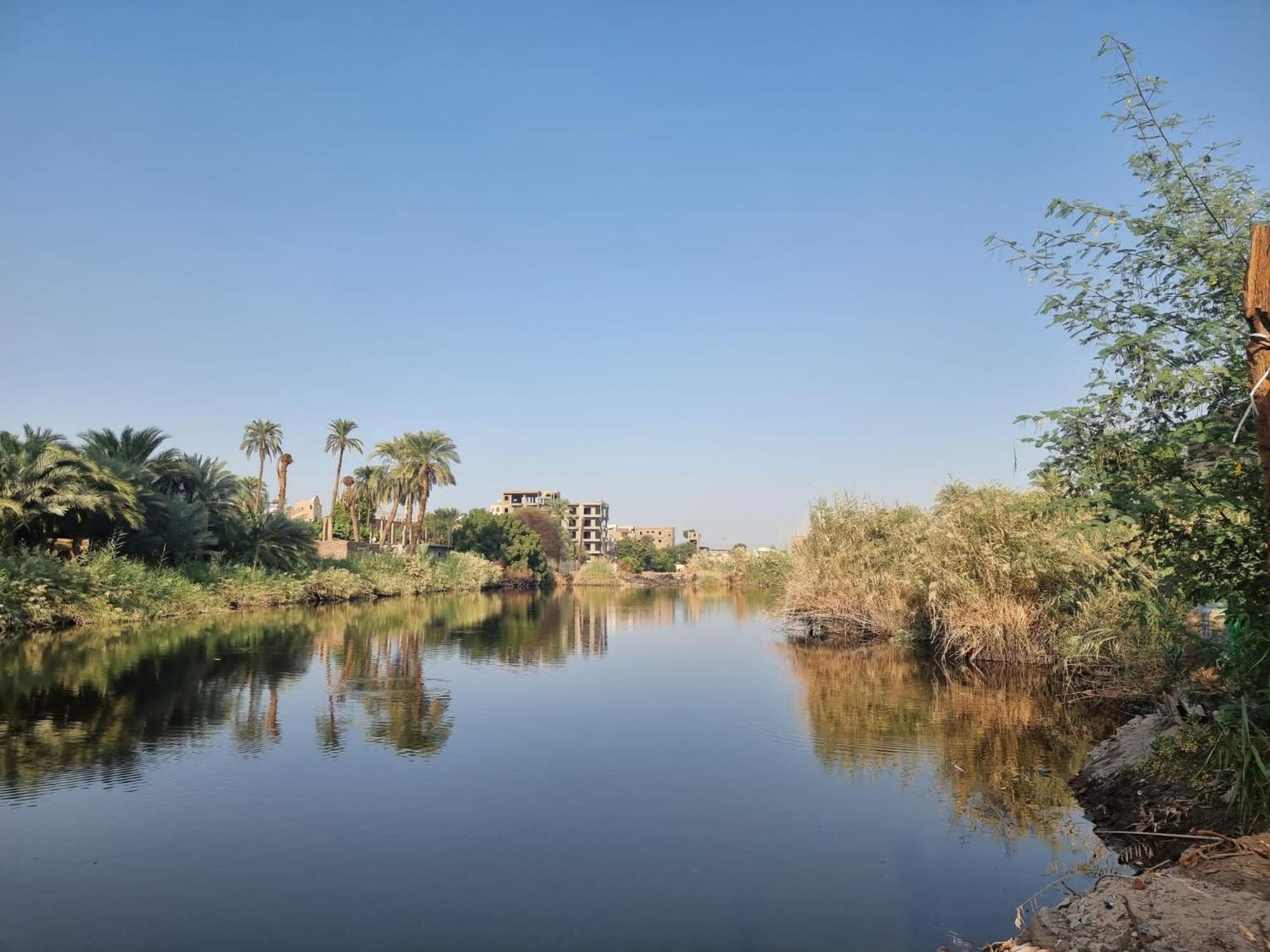 Luxor Old Nile Hotel 部屋 写真